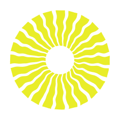 soma-academy-spinner